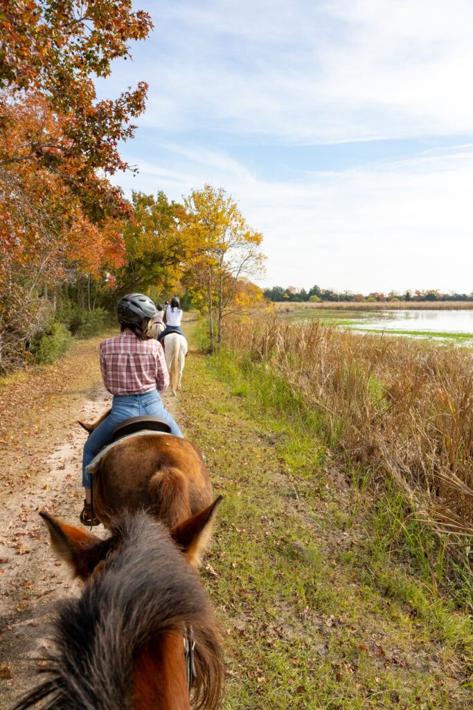 Riding along the Ashley River at Middleton Place