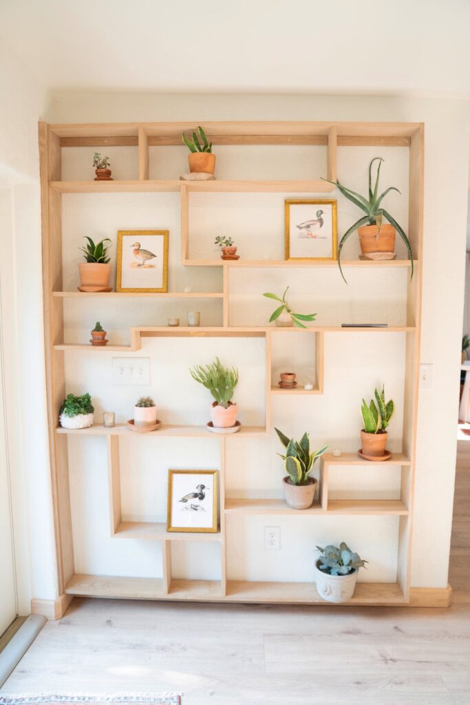 Open shelving with plants and prints at Seene House