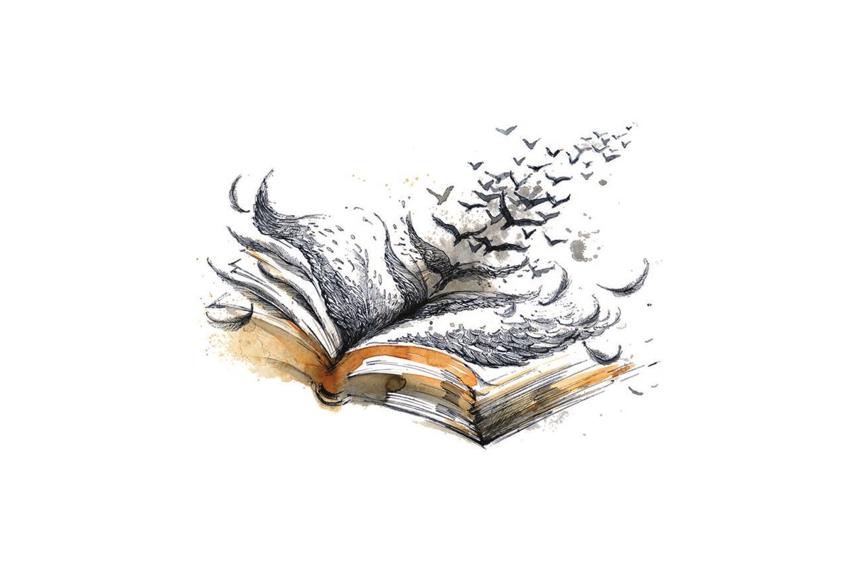 Illustration of an open book with birds taking flight